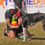 Jenn Schielke holds a baby toy as dog Feather stacks rings in the Extreme Dogs show during the 153rd annual Chilliwack Fair at Chilliwack Heritage Park on Saturday, Aug. 9, 2025.