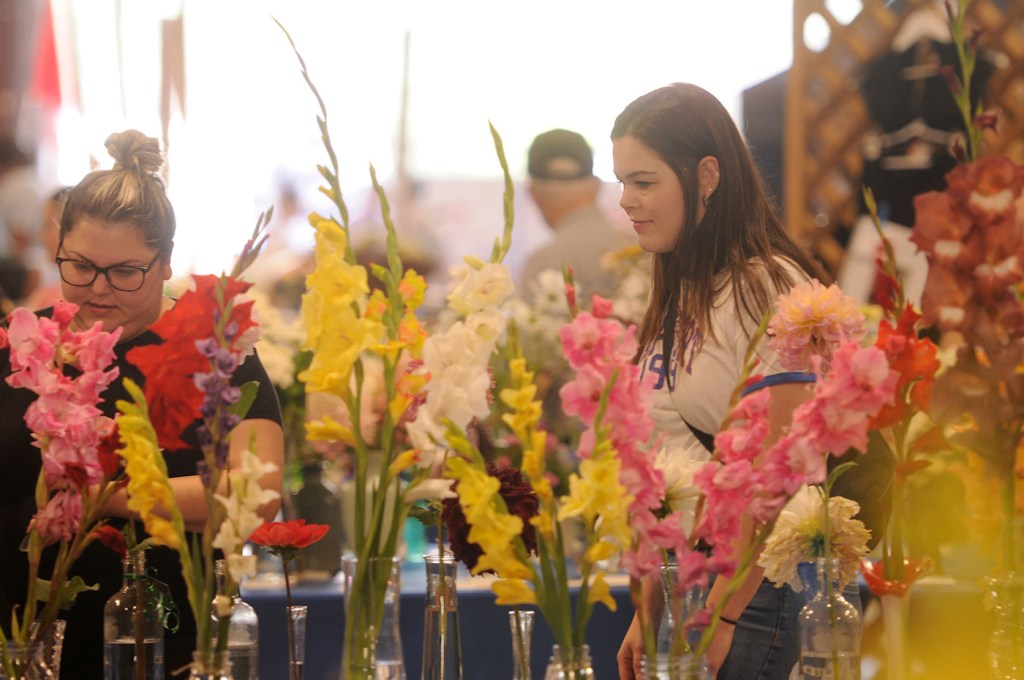 People look at floral displays during the 153rd annual Chilliwack Fair at Chilliwack Heritage Park on Saturday, Aug. 9, 2025.