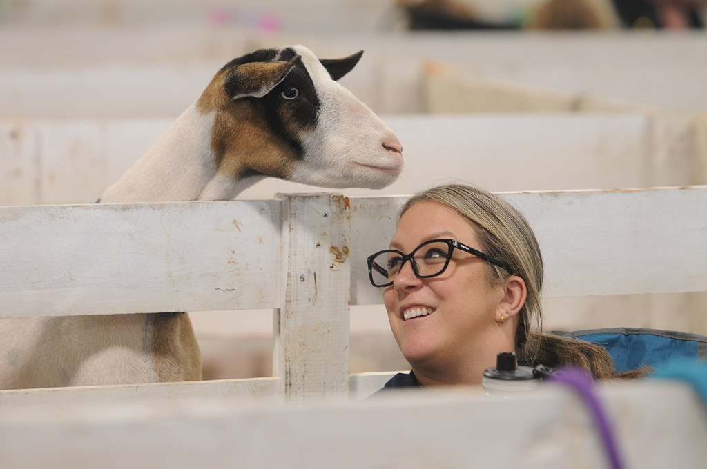 Sarah Pahl of Langley smiles as Captain the goat begs for potato chips during the 153rd annual Chilliwack Fair at Chilliwack Heritage Park on Saturday, Aug. 9, 2025.