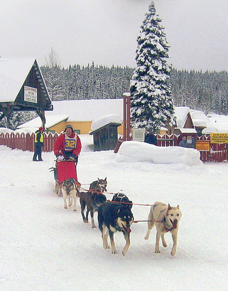 Local sled dog racer Orville Moorehouse comes into Barkerville Jan. 22 during the Sunday dash from Wells to Barkerville at the 20th Gold Rush Trail Dog Sled Mail Run.