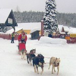 Local sled dog racer Orville Moorehouse comes into Barkerville Jan. 22 during the Sunday dash from Wells to Barkerville at the 20th Gold Rush Trail Dog Sled Mail Run.
