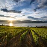 British Columbia is blessed with settings that are as fruitful as they are beautiful. Andrew Strain photo.