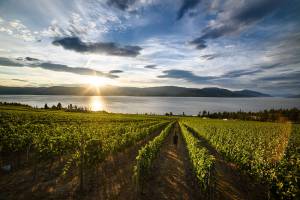 British Columbia is blessed with settings that are as fruitful as they are beautiful. Andrew Strain photo.