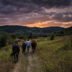 The quintessential guest ranch experience awaits in the Cariboo and Chilcotin. Blake Jorgenson photo.
