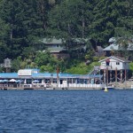 Canada's only floating pub and its ferry service to and from Protection Island is on the market for $4.8 million.