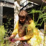 Carly Stefanowich plucks flowers from her garden.