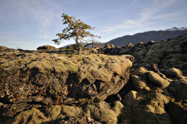 Canada’s last volcanic eruption occurred on Nisga’a land approximately 270 years ago. (Nisga’a Lisims Government / Gary Fiegehen)