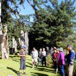 A Haida Watchman shows visitors around the Sgang Gwaay village site in 2017. (Photo: Amy Attas)