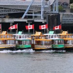 Victoria Harbour Ferry pickle boats perform a synchronized water ballet in the Inner Harbour.