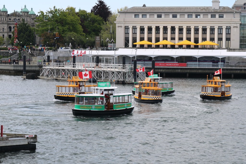 Victoria Harbour Ferry pickle boats perform a synchronized water ballet in the Inner Harbour on May 18.