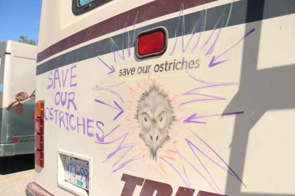Protesters decked out their vehicles with depictions of ostriches coupled with calls to action.