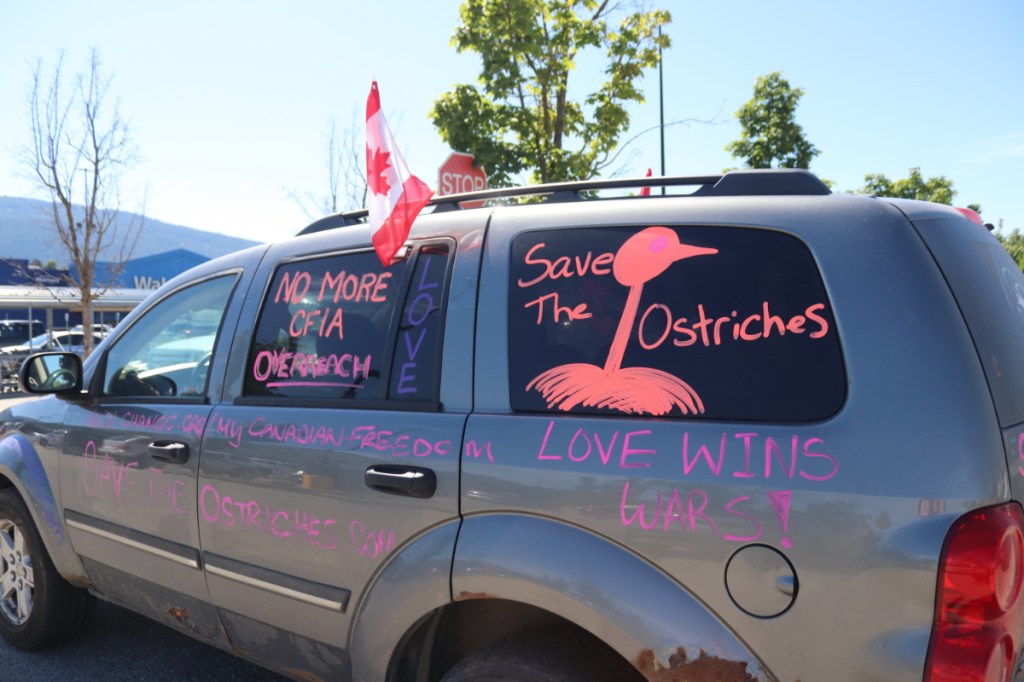 The protesters want to put a stop to the cull that would destroy nearly 400 ostriches.