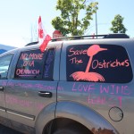 The protesters want to put a stop to the cull that would destroy nearly 400 ostriches.