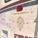 Protesters decked out their vehicles with depictions of ostriches coupled with calls to action.