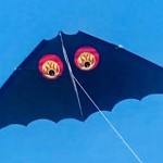 An old 'bat' kite.