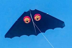 An old 'bat' kite.