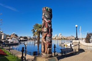 The Kwakiutl Bear Totem pole has stood at the corner of Belleville and Government streets since 1966.