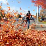 While leaf blowers are used in autumn, there are some efforts to ban these devices. (Black Press Media file photo)