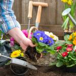 Gardening season is upon us! Are you ready?