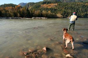 A basic adult anglers license in B.C. will increase to $39.56 per year in 2023, then go up to $41.15 in 2024. AdobeStock