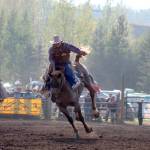 The rodeo is taking place on all four days, with the BCRA sanctioned rodeo on Friday, Saturday and Sunday. (Marisca Bakker)