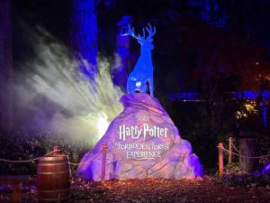 Entrance of the new &ldquo;Harry Potter: A Forbidden Forest Experience&rdquo; at Stanley Park in Vancouver on media preview night Thursday, Nov. 6, 2025. (Tom Zillich/Surrey Now-Leader)