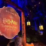 Entrance of the new &ldquo;Harry Potter: A Forbidden Forest Experience&rdquo; at Stanley Park in Vancouver on media preview night Thursday, Nov. 6, 2025. (Tom Zillich/Surrey Now-Leader)