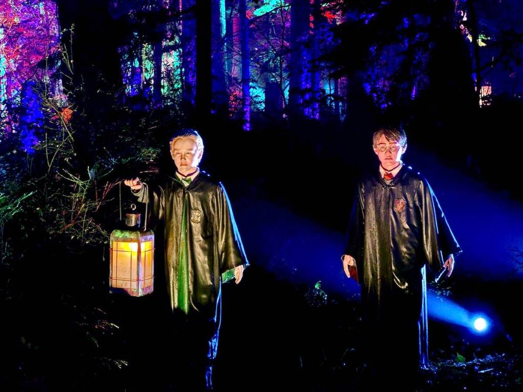 The new &ldquo;Harry Potter: A Forbidden Forest Experience&rdquo; at Stanley Park in Vancouver on media preview night Thursday, Nov. 6, 2025. (Tom Zillich/Surrey Now-Leader)