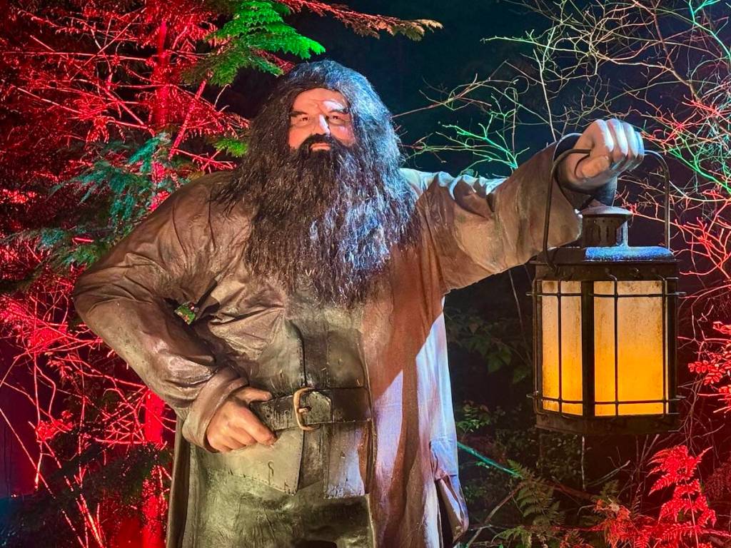 The new &ldquo;Harry Potter: A Forbidden Forest Experience&rdquo; at Stanley Park in Vancouver on media preview night Thursday, Nov. 6, 2025. (Tom Zillich/Surrey Now-Leader)