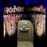 The new &ldquo;Harry Potter: A Forbidden Forest Experience&rdquo; at Stanley Park in Vancouver on media preview night Thursday, Nov. 6, 2025. (Tom Zillich/Surrey Now-Leader)