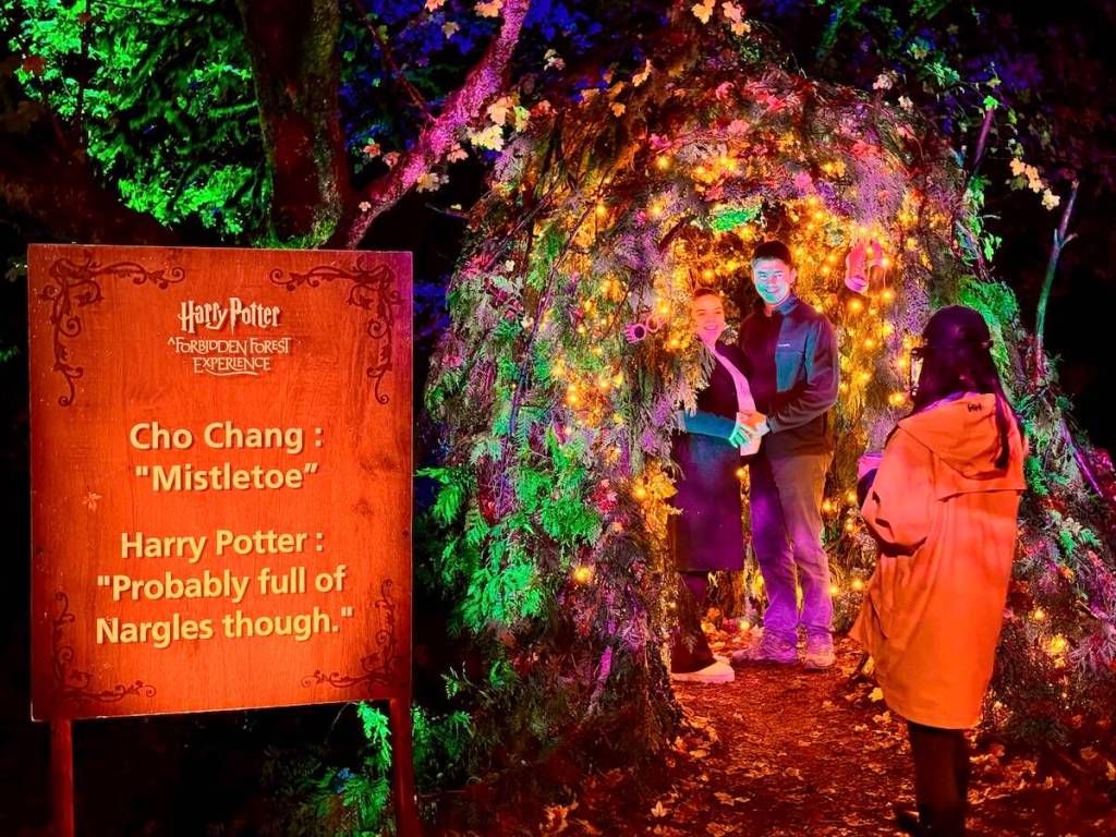 The new &ldquo;Harry Potter: A Forbidden Forest Experience&rdquo; at Stanley Park in Vancouver on media preview night Thursday, Nov. 6, 2025. (Tom Zillich/Surrey Now-Leader)