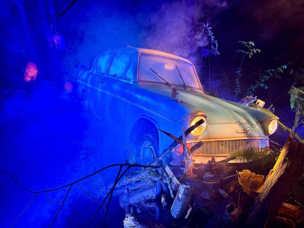 The new &ldquo;Harry Potter: A Forbidden Forest Experience&rdquo; at Stanley Park in Vancouver on media preview night Thursday, Nov. 6, 2025. (Tom Zillich/Surrey Now-Leader)