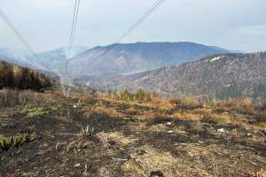 On Aug. 17, BC Wildfire Service conducted a planned aerial ignition along a power line southeast of the Lower East Adams Lake wildfire to prevent the fire&rsquo;s spread to North Shuswap communities. (Jim Cooperman photo)