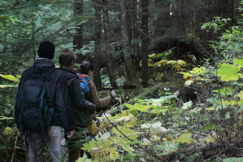 From right, Valhalla Wilderness Society biologist Amber Peters and companions Tyler McKendry and Václav Kuželka explore the Rainbow-Jordan Wilderness, pictured Oct. 9, 2025. (Evert Lindquist/Revelstoke Review)