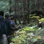 From right, Valhalla Wilderness Society biologist Amber Peters and companions Tyler McKendry and Václav Kuželka explore the Rainbow-Jordan Wilderness, pictured Oct. 9, 2025. (Evert Lindquist/Revelstoke Review)