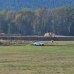 CFIA and RCMP created a wall of hay bales around the ostriches in Edgewood prior to killing them. (Facebook photo)