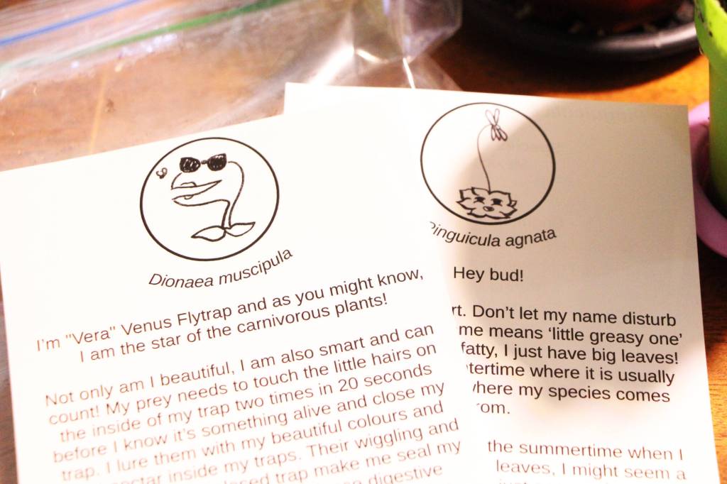 Christian and Elanore Lass write and illustrate little information cards they give out with each carnivorous plant they sell. (Patrick Davies photo - 100 Mile Free Press)