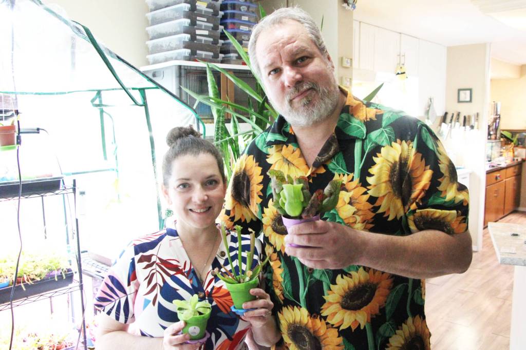 Elanore and Christian Lass are the botanists behind Hungry Plant Pals. (Patrick Davies photo - 100 Mile Free Press)