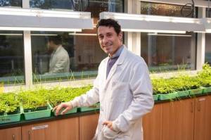 Dr. Harley Gordon of UFV helped make a discovery that completely reshapes how the scientific community understands plant production of salicylic acid. (UFV)