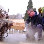 A crew member trims the tree&rsquo;s trunk so it fits in the stand inside the lower rotunda. (Olivier Laurin/Victoria News)