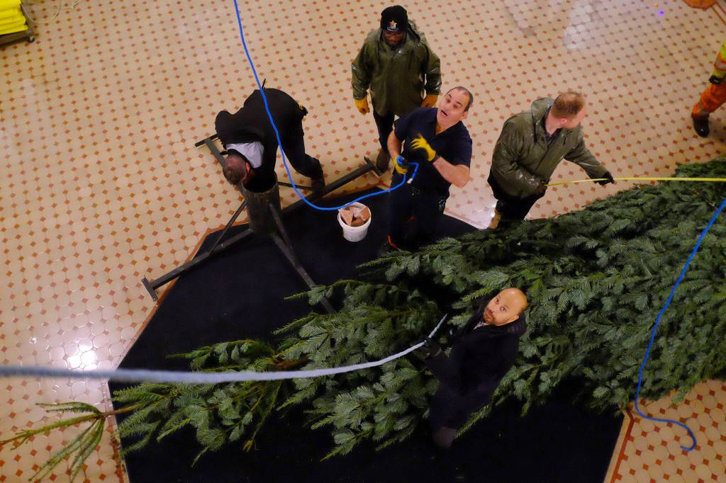 Surjit Dhanota and his crew are preparing to erect the tree. (Olivier Laurin/Victoria News)