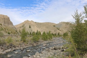 Churn Creek Protected Area.
