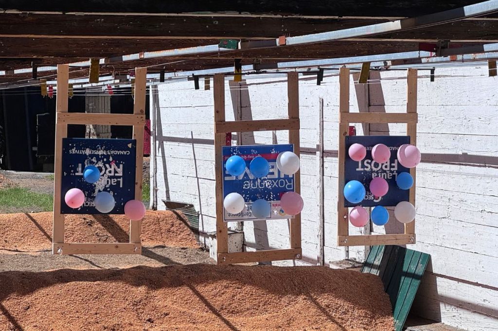 Balloon targets.