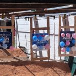 Balloon targets.