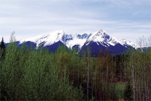 Moon River Mining proposes a molybdenum mine on Hudson Bay Mountain.