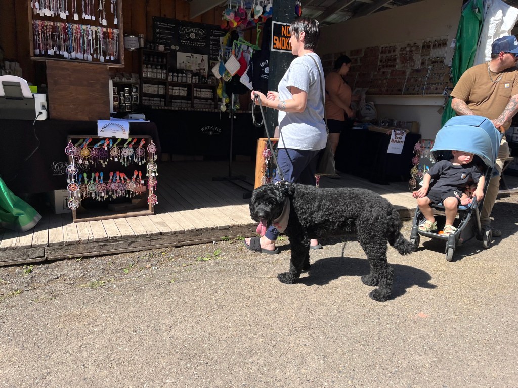 The summer weather made a return for the fair, with the mercury soaring to the high twenties after a week of cold rainy weather.