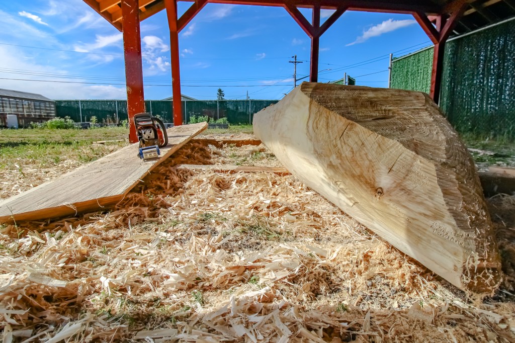 The Nak’azdli Sa Na’angus Whuhoduleh Centre warmly welcomed esteemed canoe carver, Frank Marchand, from July 23 to Aug. 1, 2025.