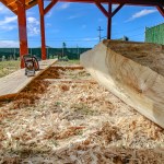The Nak’azdli Sa Na’angus Whuhoduleh Centre warmly welcomed esteemed canoe carver, Frank Marchand, from July 23 to Aug. 1, 2025.