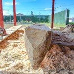 The Nak’azdli Sa Na’angus Whuhoduleh Centre warmly welcomed esteemed canoe carver, Frank Marchand, from July 23 to Aug. 1, 2025.