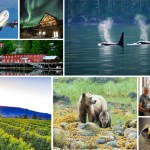 From Vancouver Island getaways to northern lights viewing in the Yukon, the Proudly Canadian, Proudly You contest celebrates it all!